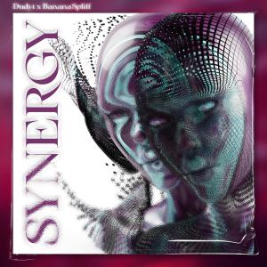 ดาวน์โหลดและฟังเพลง SYNERGY พร้อมเนื้อเพลงจาก DUDYT