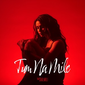 Album Tum Na Mile (From 2X Side B) from Shalmali Kholgade