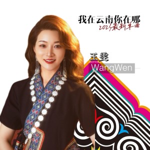 Listen to 我在云南你在哪(DJ默涵版) (伴奏) song with lyrics from 王雯