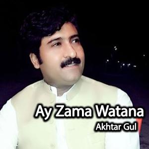 ดาวน์โหลดและฟังเพลง Ay Zama Watana(feat. Akhtar Gul) พร้อมเนื้อเพลงจาก Arshad Ali