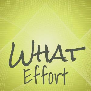 ดาวน์โหลดและฟังเพลง What Effort พร้อมเนื้อเพลงจาก Claret Zimer