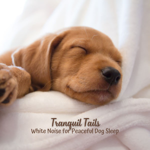 Tranquil Tails: White Noise for Peaceful Dog Sleep dari Relaxing Dog Music Playlists