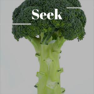 ดาวน์โหลดและฟังเพลง Wizard Megalopolis พร้อมเนื้อเพลงจาก Nohemy