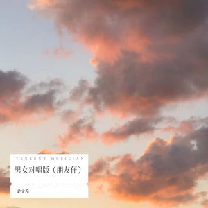 อัลบัม 男女对唱版（朋友仔） ศิลปิน 梁文希