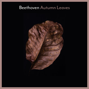 Album Beethoven: Autumn Leaves from 群星