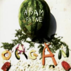 收聽Adam Payne的Never See You Anymore歌詞歌曲