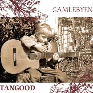 收聽Gamlebyen的Everlasting歌詞歌曲