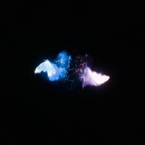 收聽Awful Lacone的Roma歌詞歌曲