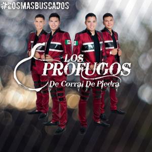Listen to Muchachos Armados song with lyrics from Los Profugos De Corral De Piedra