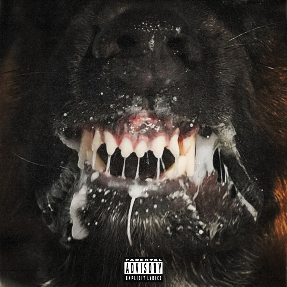 Rabies (feat. Benny The Butcher) (Explicit)