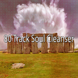 Album 80 Track Soul Cleanser oleh Nature Sounds Meditation