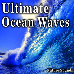 收聽Nature Soundscape的Medium Ocean Waves Come In歌詞歌曲