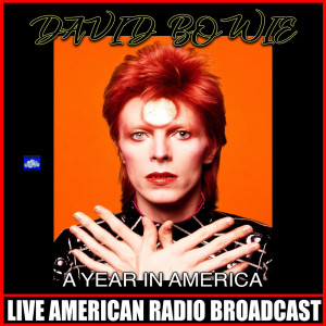 Dengarkan lagu I'm Afraid Of Americans (Live) nyanyian David Bowie dengan lirik