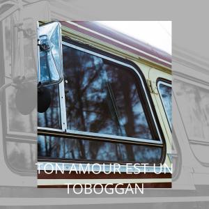Album Ton amour est un toboggan from Arletty