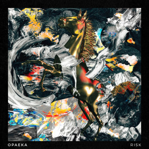ดาวน์โหลดและฟังเพลง Risk พร้อมเนื้อเพลงจาก Opaeka