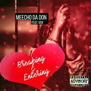 ดาวน์โหลดและฟังเพลง Breaking and Entering (feat. Vox) พร้อมเนื้อเพลงจาก Meecho Da Don