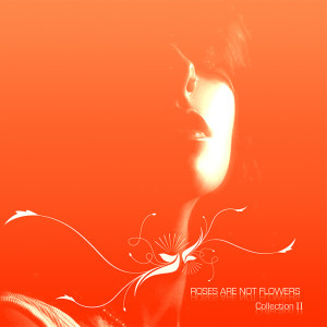 收听Maria Chiara Ferri的E se domani歌词歌曲