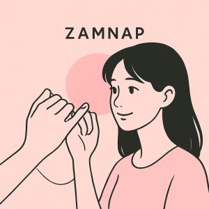 อัลบัม อาจจะทนไม่ไหวนะ ศิลปิน ZAMNAP