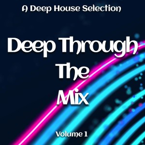 Various Artists的專輯Deep Through the Mix, Vol. 1