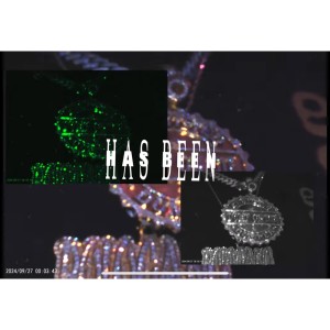 PoloGang的專輯Has Been (Explicit)