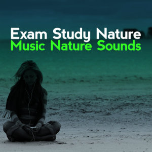 收聽Exam Study Nature Music Nature Sounds的Afternoon Woodland歌詞歌曲