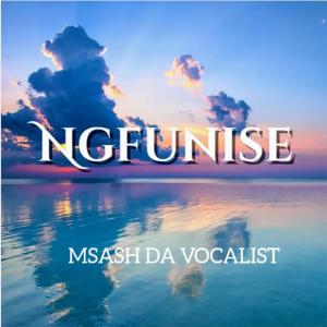 Album Ngfunise from Msash Da Vocalist