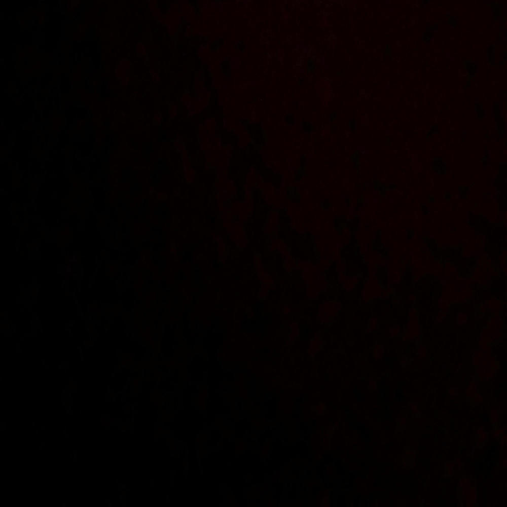 STARS IN DA ROOF (Explicit)