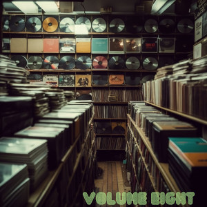 Album Crate Diggers, Vol. 8: Stone Cold Rare Beats & Vinyl Oddities 1965-1978 from Various