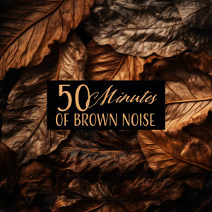 อัลบัม 50 Minutes of Brown Noise for Anxiety and Sleep ศิลปิน Deep Sleep Music Academy