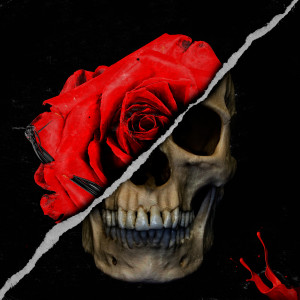 xxdistrixx的專輯Rose/skull