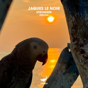 Jaques Le Noir的專輯Stronger (Remixes)