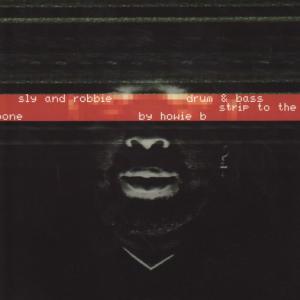 ดาวน์โหลดและฟังเพลง Into Battle พร้อมเนื้อเพลงจาก Sly & Robbie
