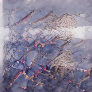 收聽Blake Holmes的BeLoved (Explicit)歌詞歌曲