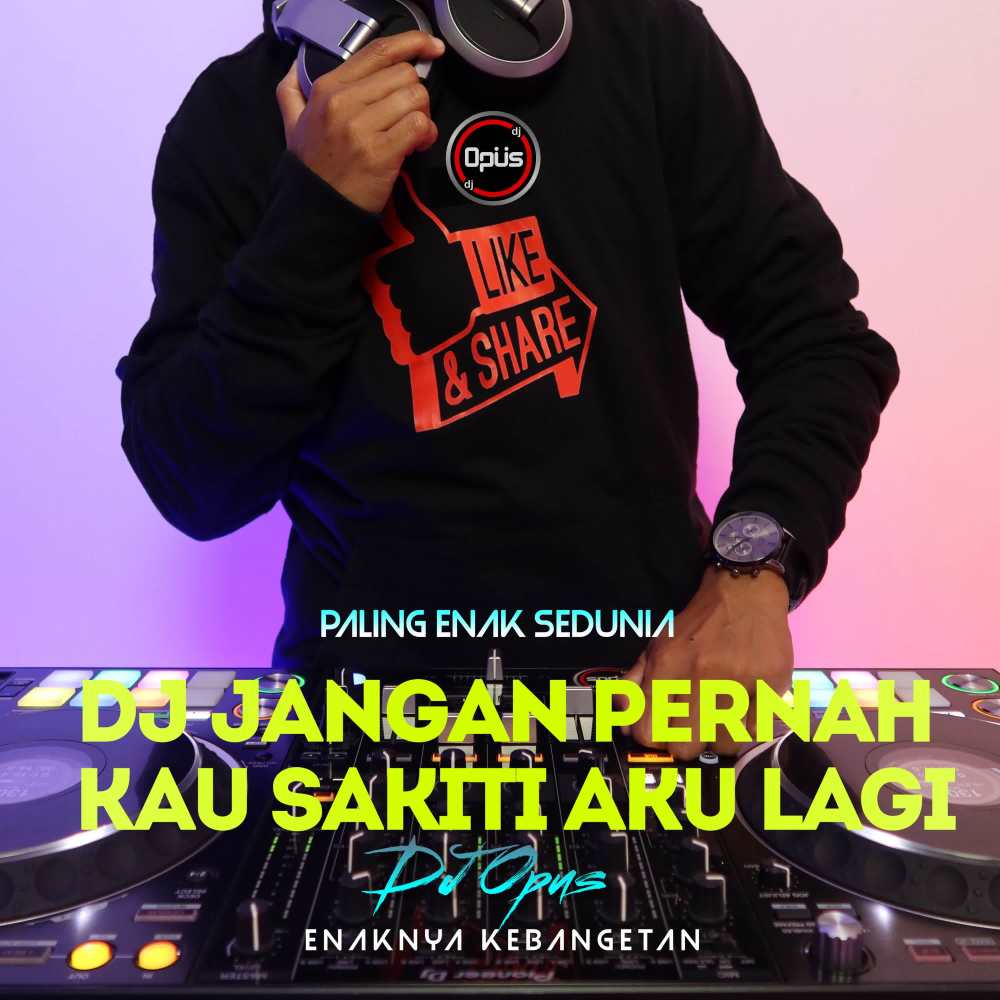 DJ Jangan Pernah Kau Sakiti Aku Lagi