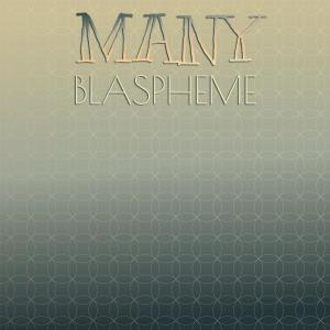 Various Artists的專輯Many Blaspheme