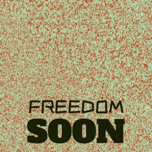 อัลบัม Freedom Soon ศิลปิน Various