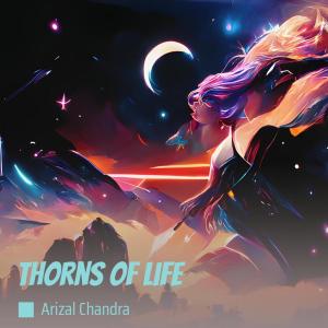 Listen to Thorns of Life song with lyrics from Arizal Chandra