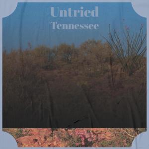 Dengarkan lagu Untried Tennessee nyanyian Arilson Sthe dengan lirik