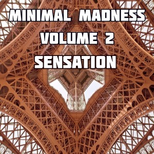 Album Minimal Madness Sensation Vol.2 from Various