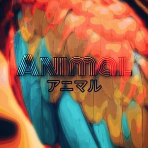 Listen to Animal song with lyrics from Gabulz