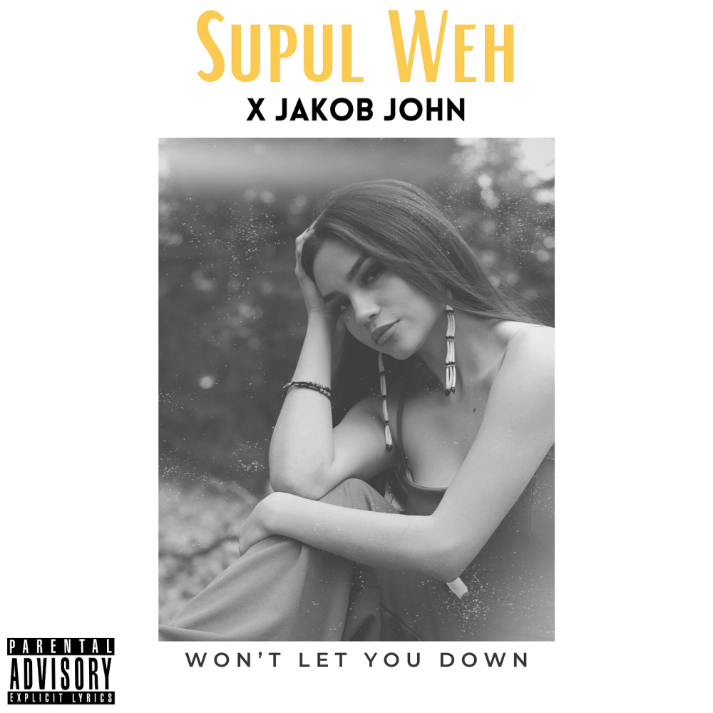 Won't Let You Down (Explicit)