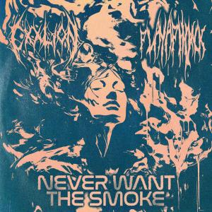 收聽Cxxlion的Never Want The Smoke歌詞歌曲
