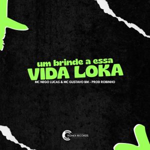 Listen to Um Brinde a Essa Vida Loka song with lyrics from Mc Nego Lucas