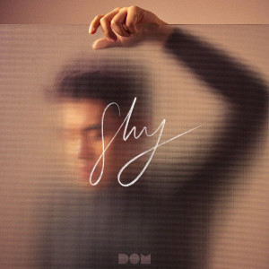 Listen to SHY song with lyrics from Dominic Chin