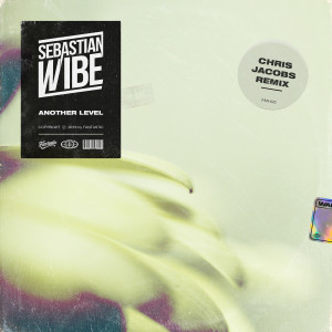Listen to Another Level (Chris Jacobs Remix) song with lyrics from Sebastian Wibe
