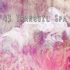 收聽Best Relaxing Spa Music的Winding Down歌詞歌曲
