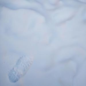 อัลบัม Snow Walking Sounds ศิลปิน Daniil Sharipov