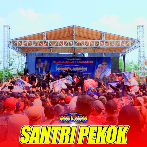 Album Santri Pekok from New pallapa