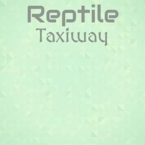 Album Reptile Taxiway from Various