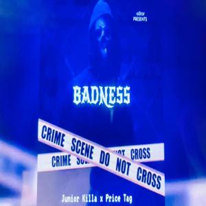 Price Tag的專輯Badness/murder (feat. Junior killa) [Explicit]